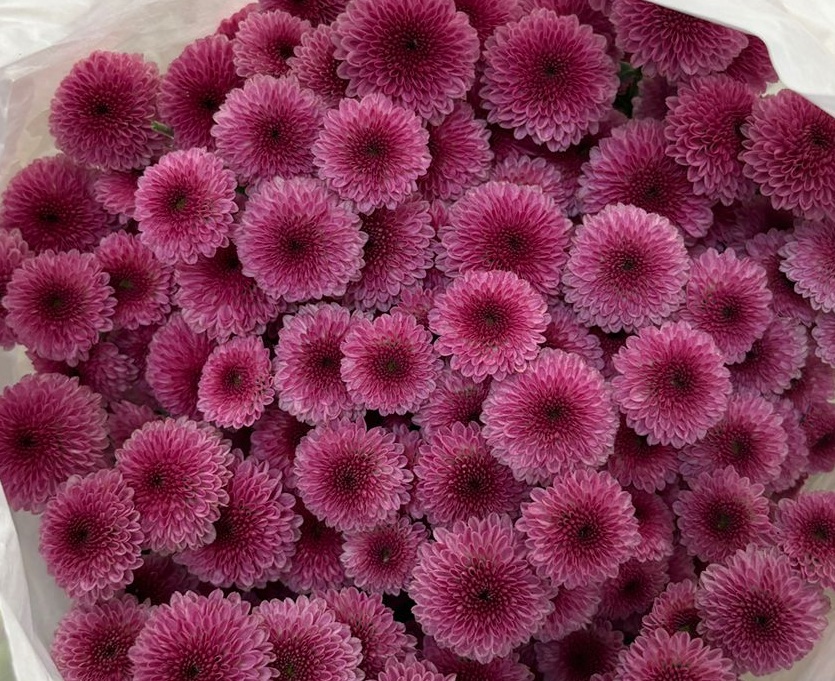 A photorealistic image depicting various event settings styled with exotic flowers.  Showcase corporate events, birthday parties, and other celebrations.  The image should demonstrate the versatility of exotic flower arrangements and their impact on setting the mood and atmosphere.  Use a variety of colors and styles. The image should evoke feelings of excitement and professionalism. Resolution: 4K, high-quality rendering.